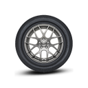 TM Demo DZ102 Gallery 3